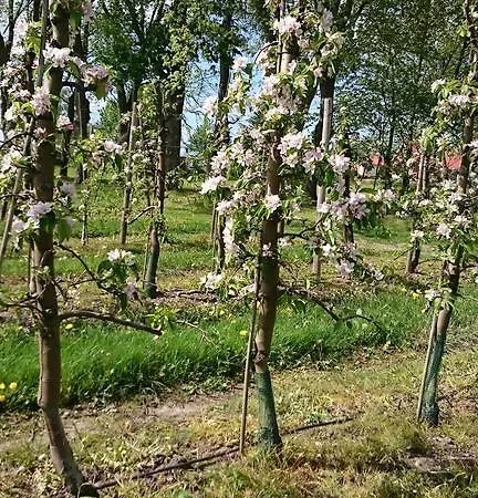 Farsbollegaard * Hårslev