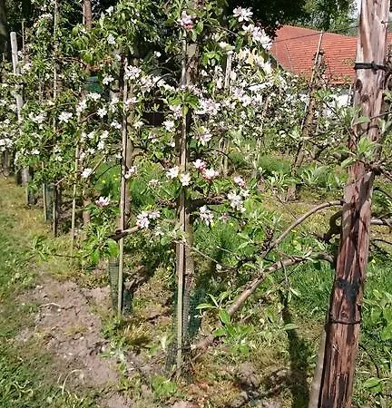 Farsbollegaard Bed and breakfast